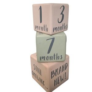 Mud Pie Pregnancy and Baby Girl Milestone Blocks